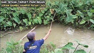 JEKPOT LAGIMANCING DI PARIT BEKAS JEBOLAN KOLAM. JORAN BAMBU HAMPIR PATAH