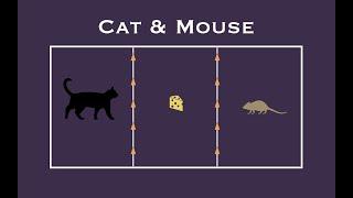 Cat & Mouse Game