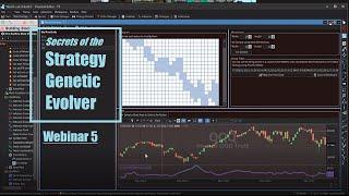 WealthLab Webinar 5 - Digging into the Strategy Genetic Evolver