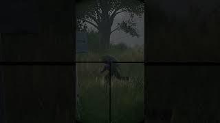 Mauser 98k который взрывает людей  #dayzstandalone #dayzgameplay #dayzsurvival #dayz  #tips   #дейзи