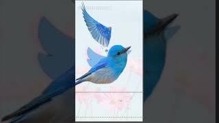 Real life twitter bird #shorts #artandcraft #photoshop