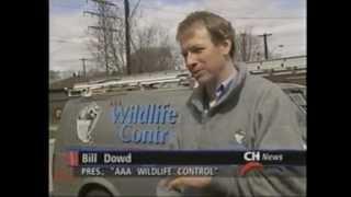 CH News Features Skedaddle President Bill Dowd