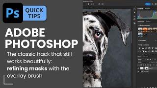 Photoshop Composite Trick: did you know you can refine your mask selection using an OVERLAY brush?