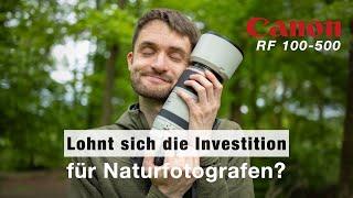 RF 100-500 Review | Meine Erfahrungen als Naturfotograf