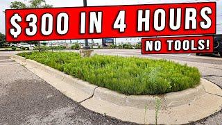 The Easiest Way To Make Money Landscaping That Everyone Overlooks