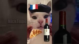 French Cat vs. Arabic Cat 