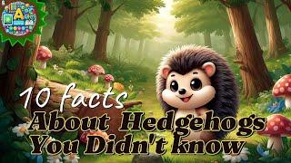 The 10 Most Amazing Facts About Hedgehogs | Interesting Facts | Animal and insect facts 2024