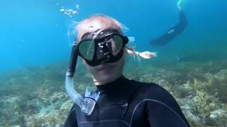 SEA LION SWIM // Free-diving with my favourite sea puppies at home in South Australia