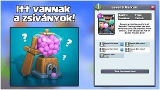 Megjöttek a zsiványok!  Rascals Draft Challenge II Clash Royale Live