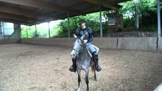 Breaking A Horse Properly With Alvin R Boudy Jr (part ten)