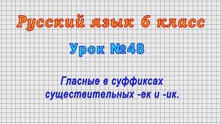 Русский язык 6 класс (Урок№48 - Гласные в суффиксах существительных -ек и -ик.)