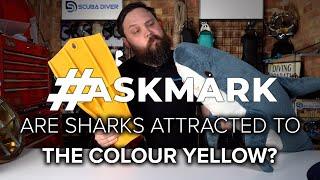 Are Sharks Attracted to the Colour Yellow? #AskMark