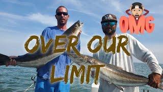 Caught over our limit Chumming for Cobia