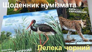 #Щоденник_нумізмата 36. Лелека чорний