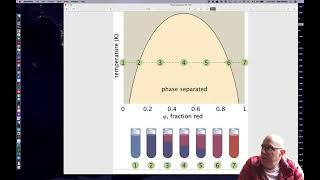 Membraneless organelles and phase separation