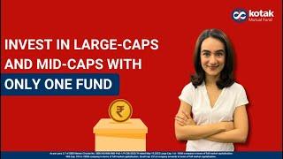 Are you looking for opportunities to invest in both large-cap and mid-cap stocks?