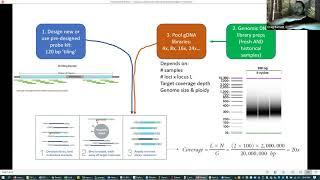 Sequence capture and reduced representation sequencing