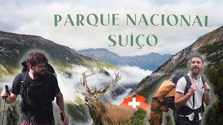 Duas semanas na SUÍÇA com o Manzarra - Parque Nacional Suíço