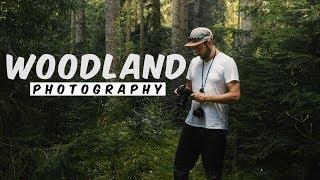 Woodland Photography: An exploration of light with composition tips & ideas