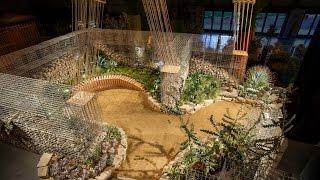 San Francisco Flower & Garden Show Timelapse