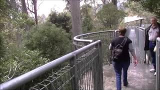 Tahune Air Walk - South West Tasmania