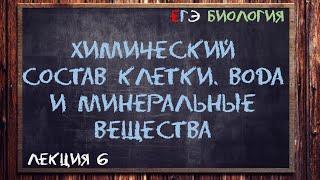 Л.6 | Химический состав клетки | Вода и минеральные вещества | ОБЩАЯ БИОЛОГИЯ ЕГЭ