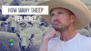 How Many Sheep Can I Have Per Acre?