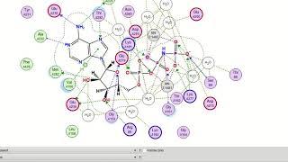 Visualization - Molecular Operating Environments (MOE)