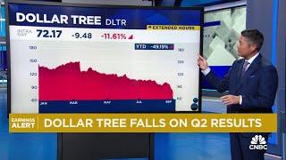 Dollar Tree drops on guidance cut, weak second-quarter results