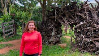 THE PLAN WAS TO LIVE IN CANADA BUT WE WENT BACK TO THE FARM IN BRAZIL