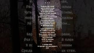 Колоколен звон тягучий.Стихи.Светлана Мишина #поэзия#стихи#poertyvideo#душа#тонкиймир#вера#ценности