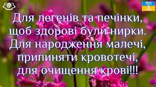 Для легенів та печінки, щоб здорові були нирки. Для народження малечі, припиняти кровотечі