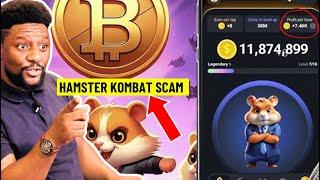 My Hamster Kombat Crypto experience (Is $10,000 Airdrop possible)