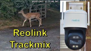 Reolink WiFi Trackmix Review - A Great Dual Lens Security Camera With Tracking and Smart Detection!