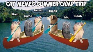 Cat Memes Summer Camp Trip