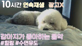 dog music to go to sleep/강아지수면음악