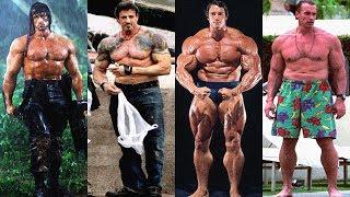 Arnold Schwarzenegger Vs Sylvester Stallone Transformation  2019