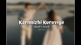 Karimizhi Kuruviye ( slowed + reverb ) shahal shazz