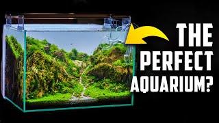 Beginner’s Guide to A Healthy and Beautiful Aquarium