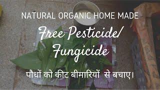 Milk as Pesticide and Fungicide for all types of plants. Free natural organic homemade Pesticide.