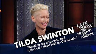Tilda Swinton's Acting Inspiration Came From A Donkey