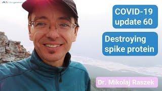 Destroying spike protein! - COVID-19 update 60