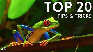 Top 20 Tips & Tricks in Planet Zoo