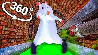 Rat dance - Sewers in 360° Video | VR / 8K | ( Rat dance meme )