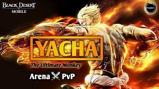 YACHA Arena️PvP gameplay | Monke mode | Black Desert Mobile