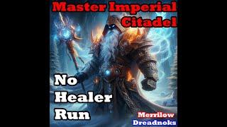 Master Imperial Citadel (First?) No Heal Run Tank PoV Neverwinter Mod 28