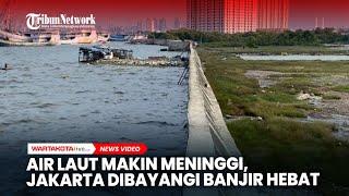 Air Laut Makin Meninggi, Jakarta Dibayangi Banjir Hebat