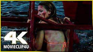 The Shallows (2016) - Impaled | MᴏᴠɪᴇCʟɪᴘ4ᴜ -〚HD〛