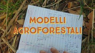 Modelli Agroforestali: Prova Questi! - (12/07/2023)