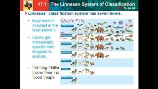 17.1: Linnaean system of classification